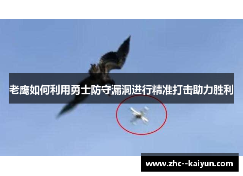 老鹰如何利用勇士防守漏洞进行精准打击助力胜利