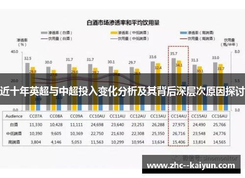 近十年英超与中超投入变化分析及其背后深层次原因探讨
