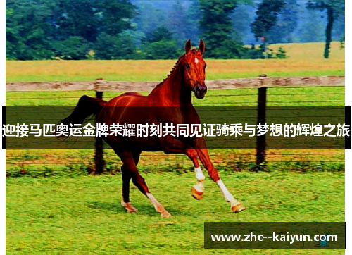 迎接马匹奥运金牌荣耀时刻共同见证骑乘与梦想的辉煌之旅