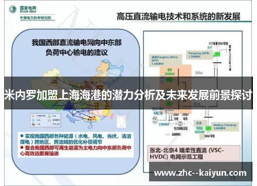 米内罗加盟上海海港的潜力分析及未来发展前景探讨