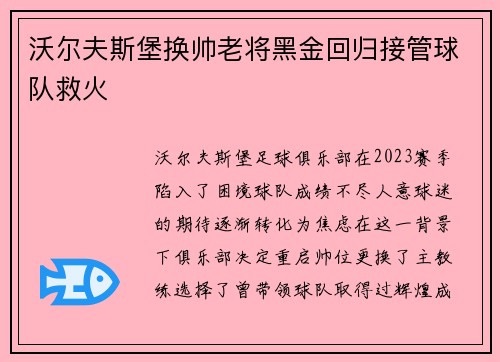 沃尔夫斯堡换帅老将黑金回归接管球队救火